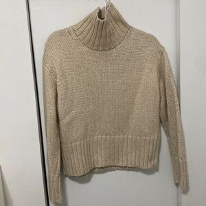 Ann Taylor Turtleneck Sweater